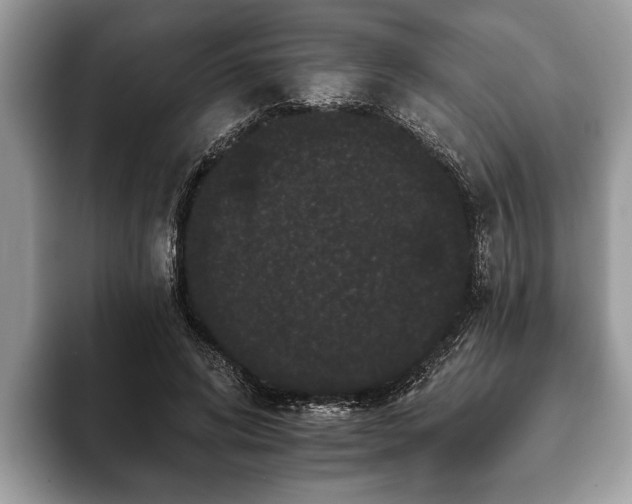 X0000093400592200710190926