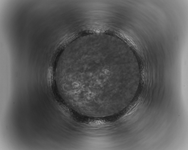 X0000093400594200710190926