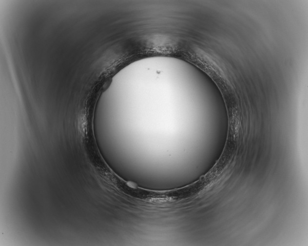 X0000093400595200710190926