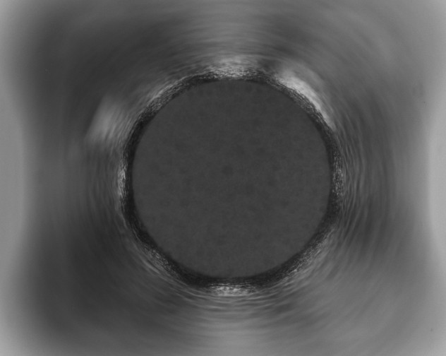 X0000093400596200710190926