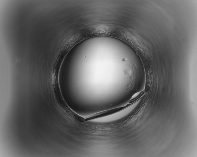 X0000093400597200710190926