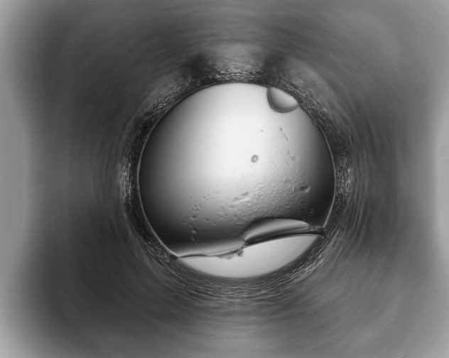 X0000093400599200710190926