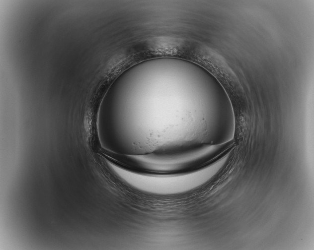 X0000093400600200710190926