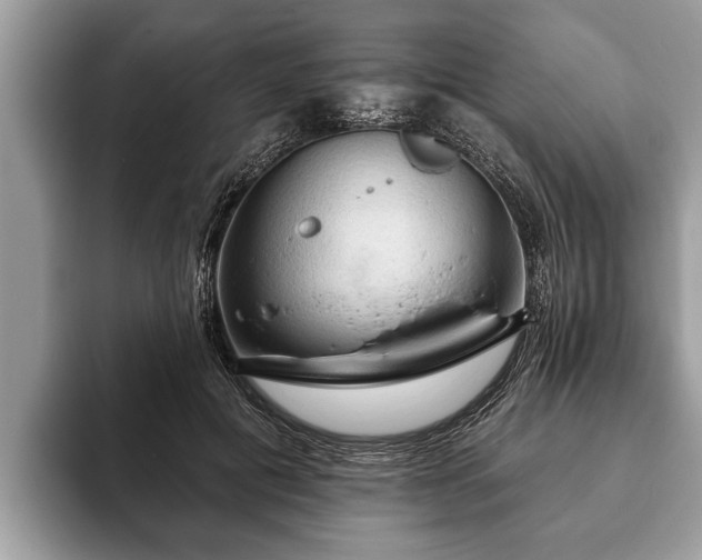 X0000093400601200710190926