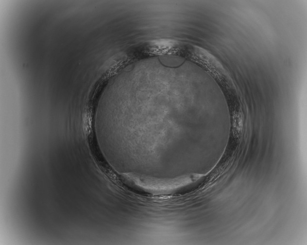 X0000093400602200710190926