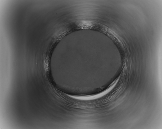 X0000093400604200710190926
