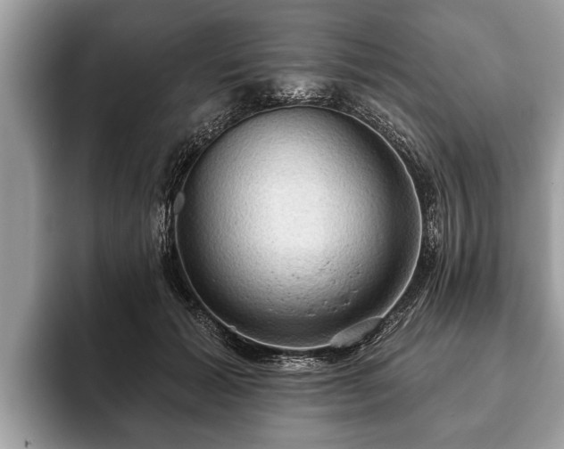 X0000093400605200710190926