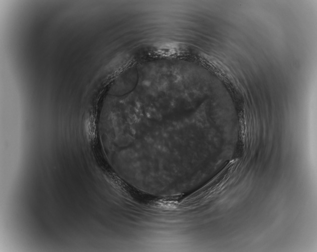 X0000093400606200710190926