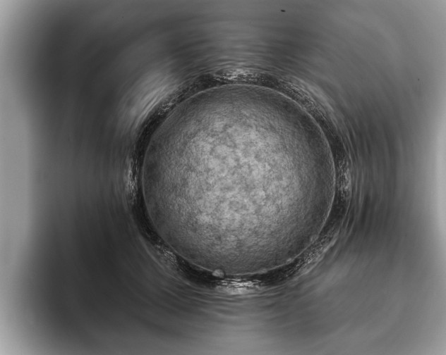 X0000093400607200710190926