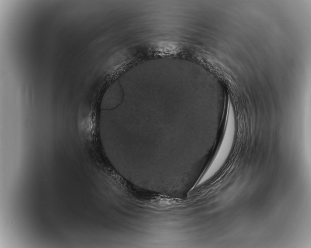 X0000093400608200710190926