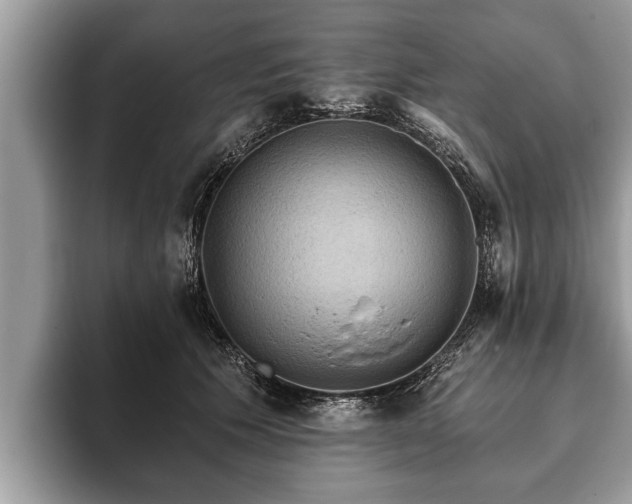 X0000093400609200710190925