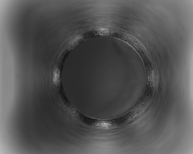 X0000093400610200710190925
