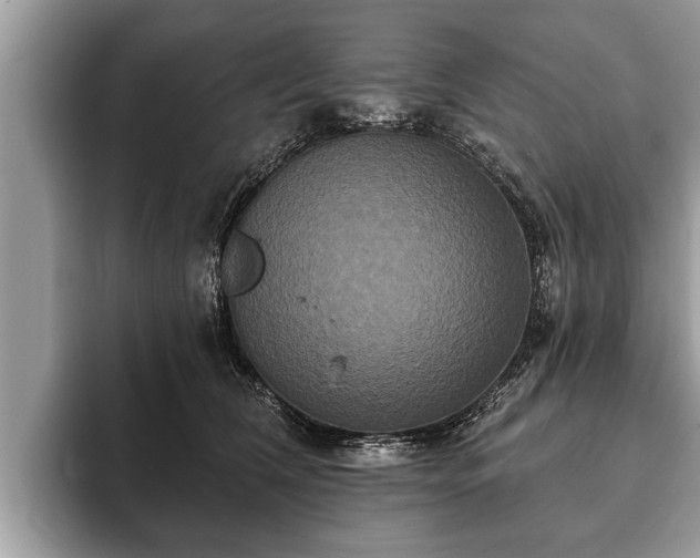 X0000093400612200710190925