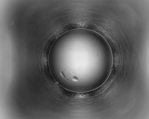 X0000093400613200710190925