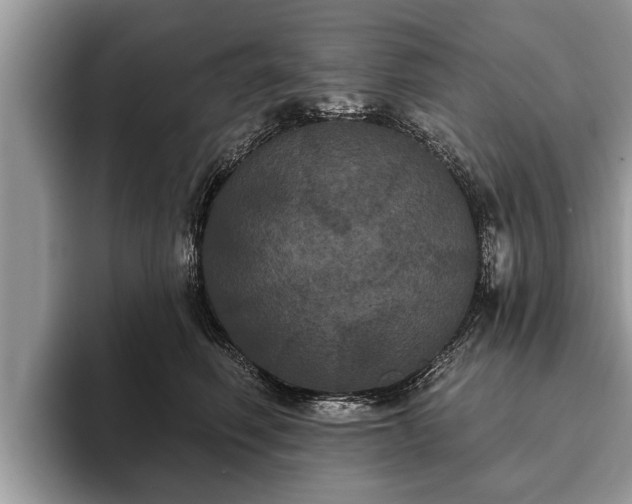 X0000093400614200710190925