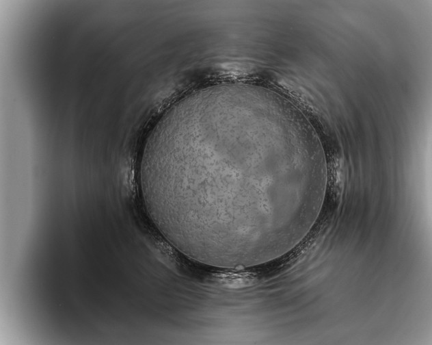 X0000093400615200710190925