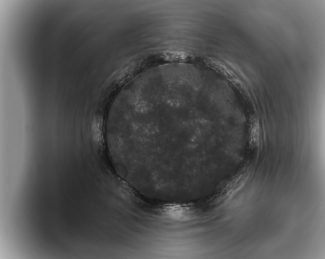 X0000093400616200710190925