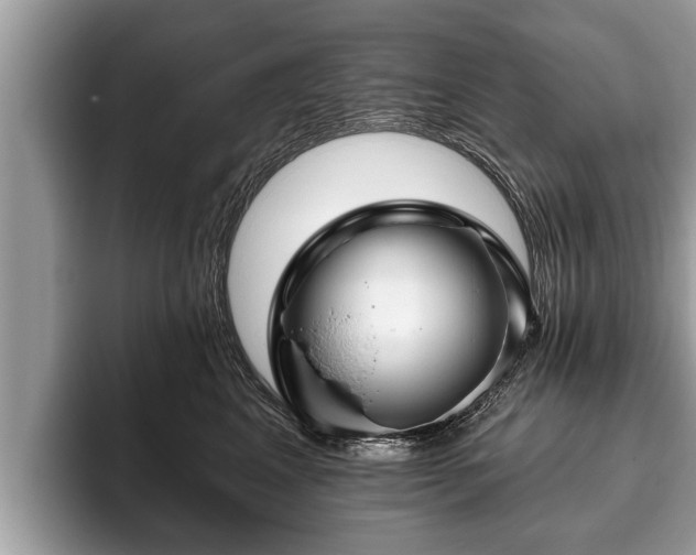 X0000093400617200710190925