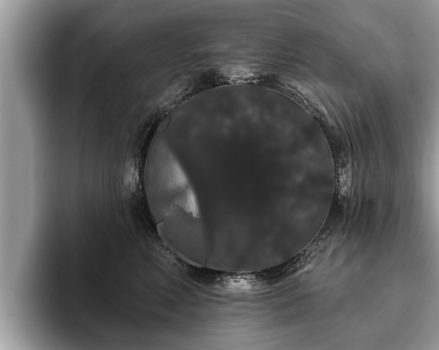 X0000093400618200710190925