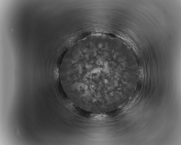 X0000093400621200710190925