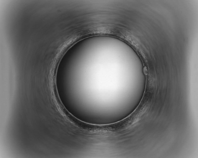 X0000093400625200710190925