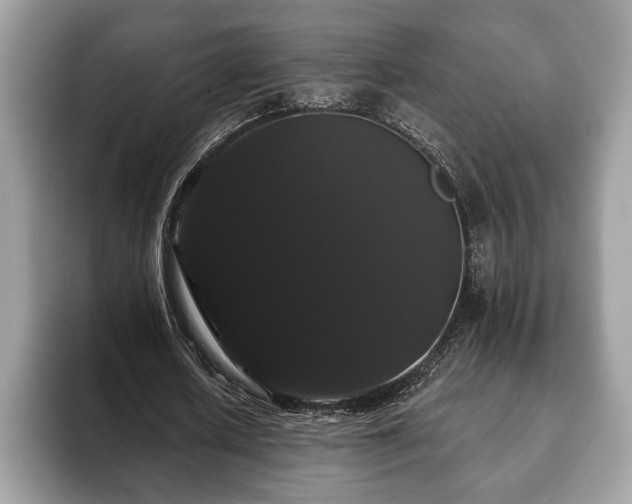 X0000093400626200710190925