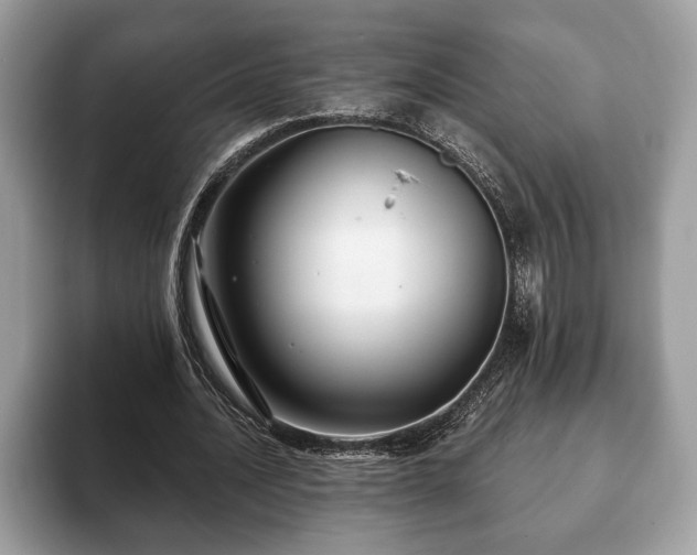 X0000093400628200710190925