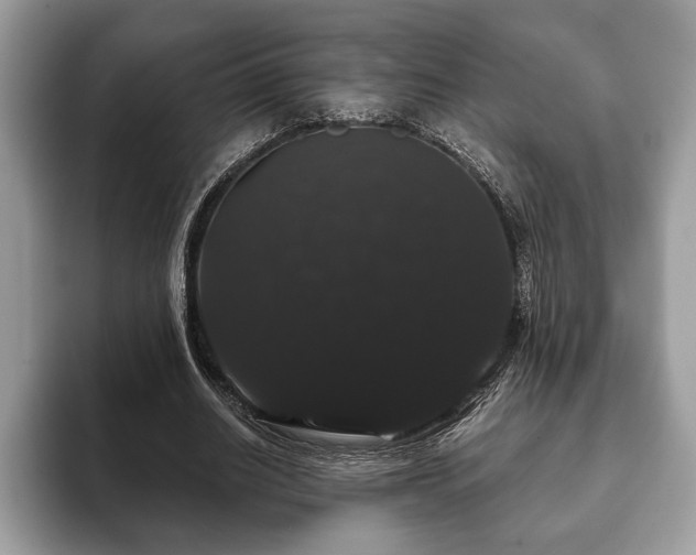 X0000093400630200710190925