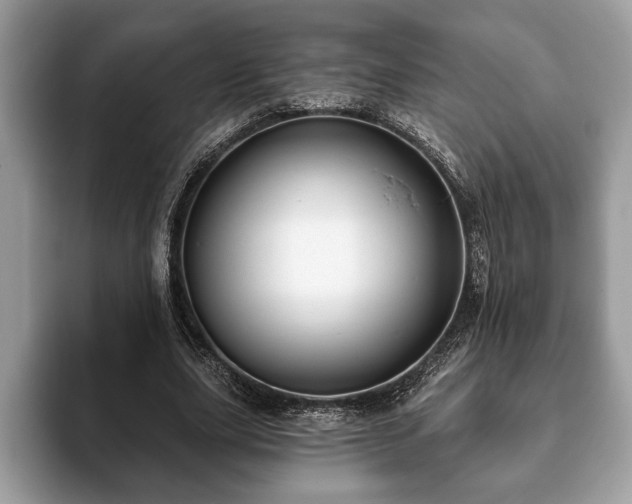 X0000093400631200710190925