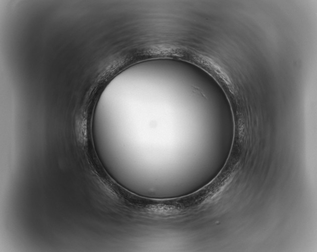 X0000093400633200710190925