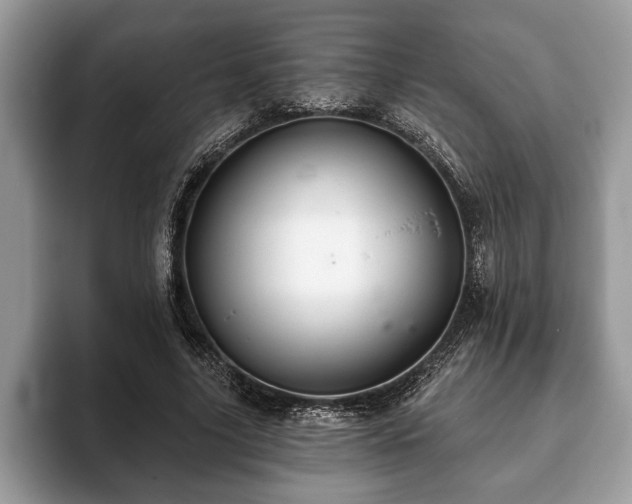 X0000093400635200710190925