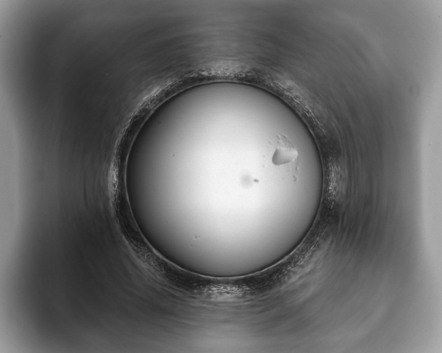 X0000093400636200710190925
