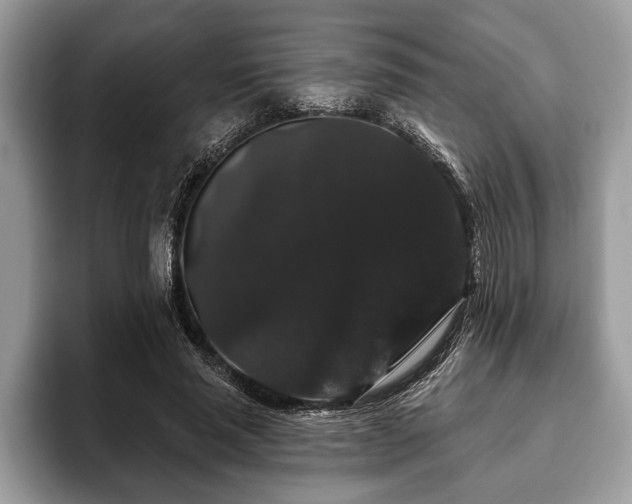 X0000093400637200710190925