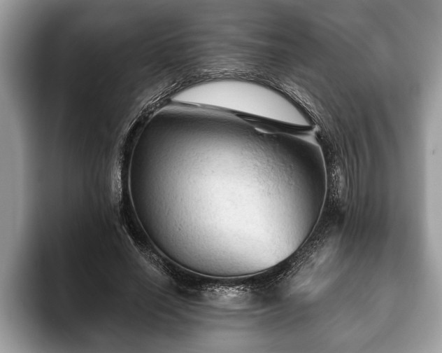 X0000093400638200710190925
