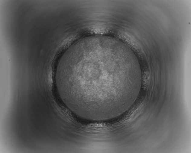 X0000093400639200710190925