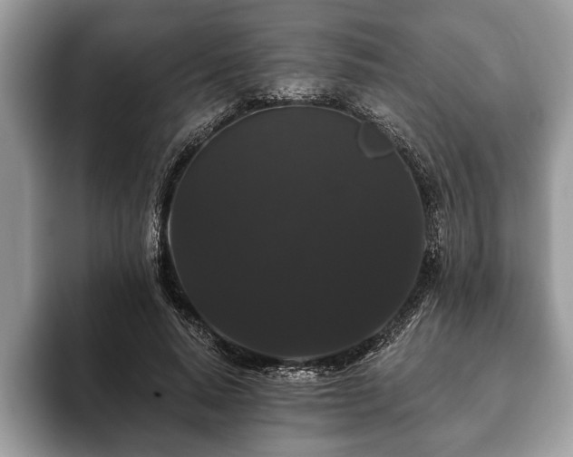 X0000093400640200710190925