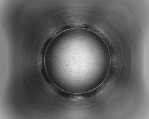 X0000093400642200710190925