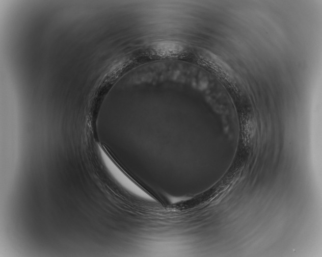 X0000093400644200710190925