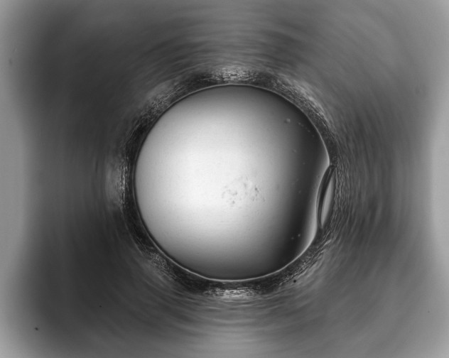 X0000093400645200710190925