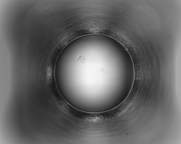 X0000093400646200710190925
