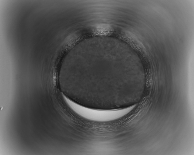 X0000093400647200710190925