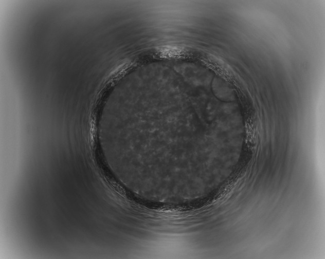 X0000093400648200710190925