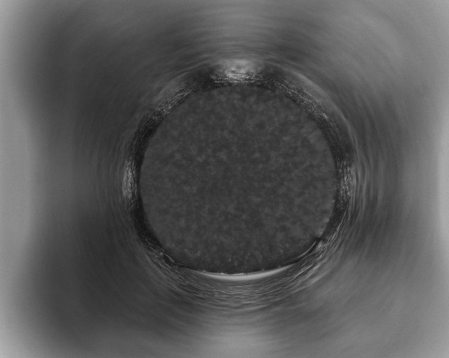 X0000093400651200710190925