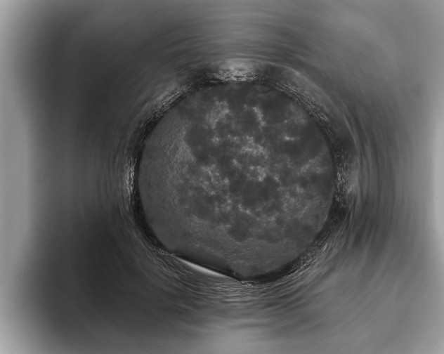 X0000093400652200710190925