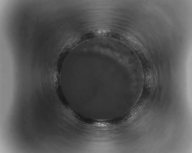 X0000093400654200710190925