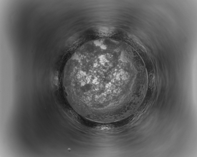 X0000093400655200710190925