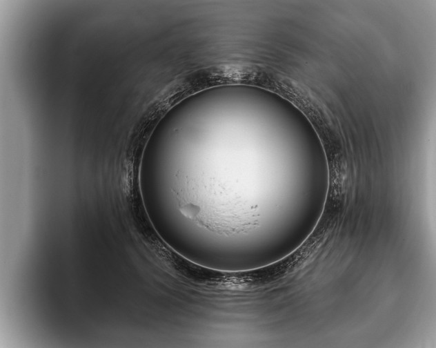 X0000093400656200710190925