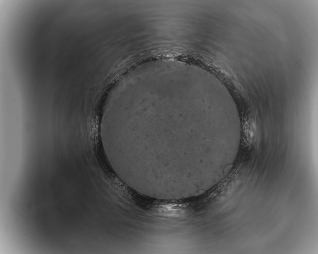 X0000093400657200710190925
