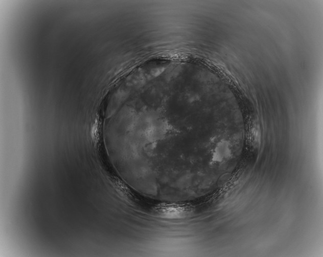 X0000093400658200710190925
