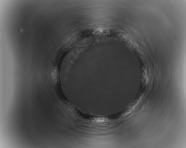 X0000093400659200710190925
